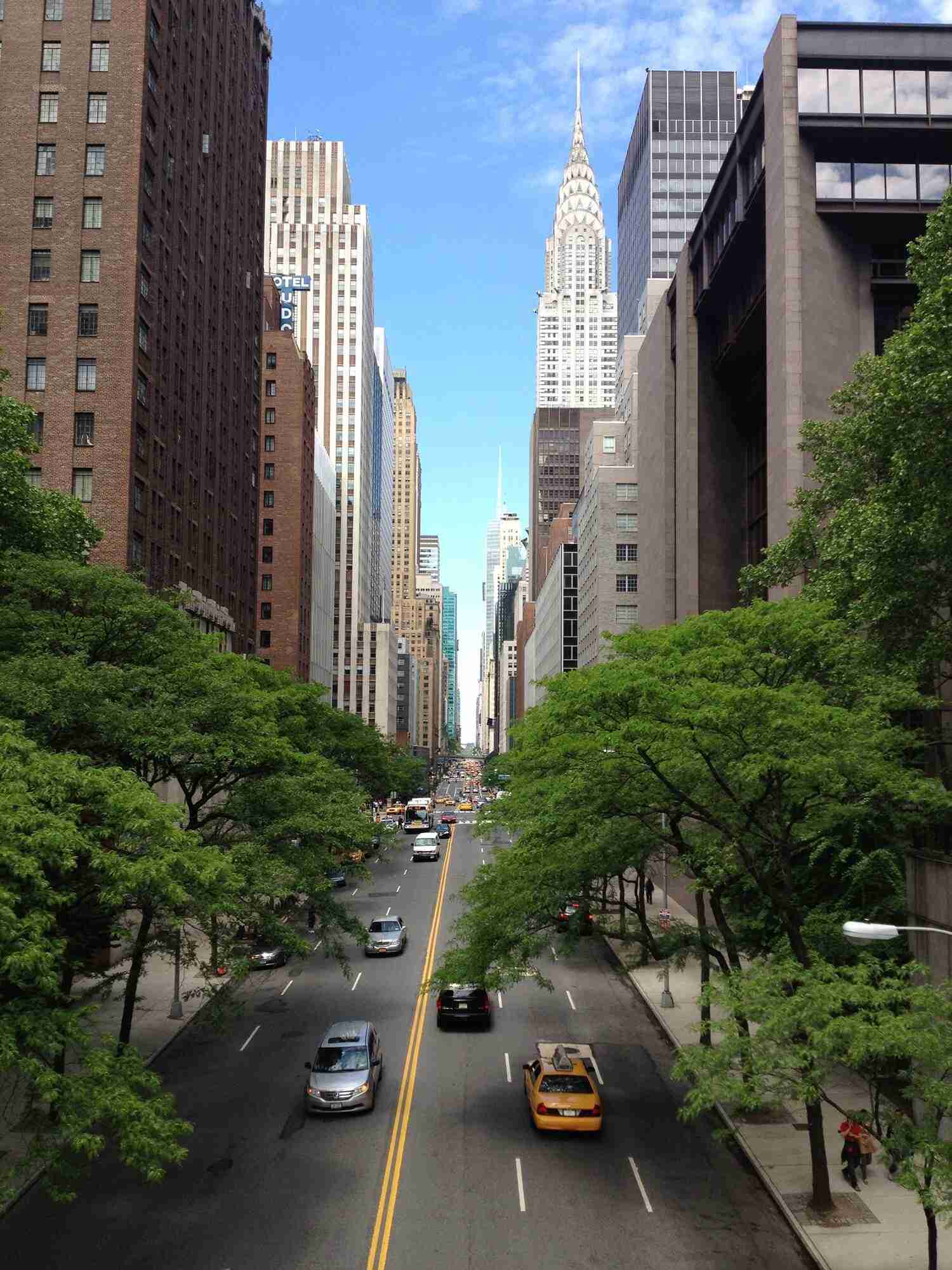 Patterns 33 tree architecture sky road skyline street 1087245