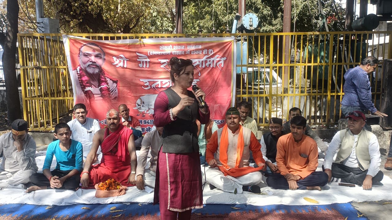 WhatsApp Image 2025-03-17 at 18.50.03_e7760333