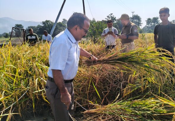 WhatsApp Image 2025-10-26 at 13.16.00_f28d0d04