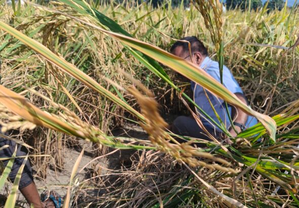 WhatsApp Image 2025-10-26 at 13.16.02_a83d76d1