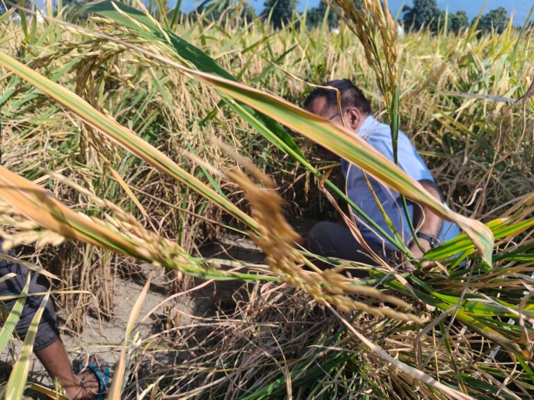 WhatsApp Image 2025-10-26 at 13.16.02_a83d76d1